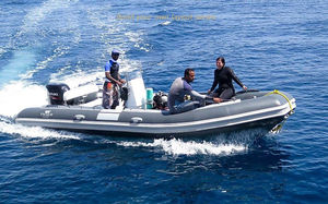Taucherbasisboot Berufsschiff