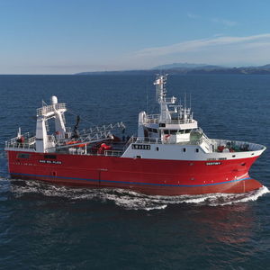 Berufsschiff für Fischerei / Trawler