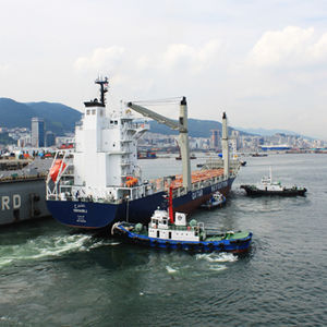 Containerschiff-Frachtschiff 1