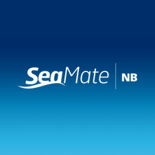 Schutzanstrich Antifouling / für Berufsschiffe