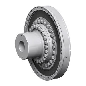 flexible mechanische Kupplung