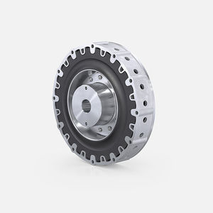 flexible mechanische Kupplung