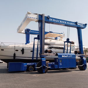 ferngesteuerter Travellift 1