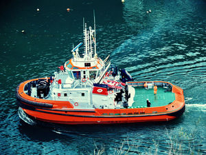 Schlepper 1