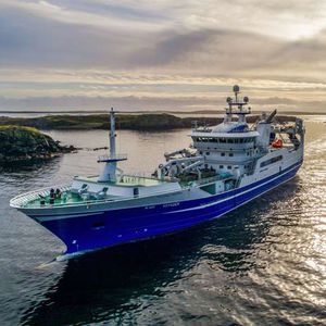 Berufsschiff für Fischerei / Trawler 1