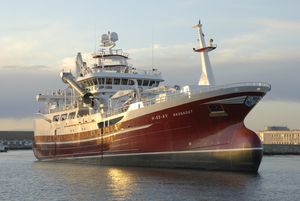 Berufsschiff für Fischerei / Trawler 1