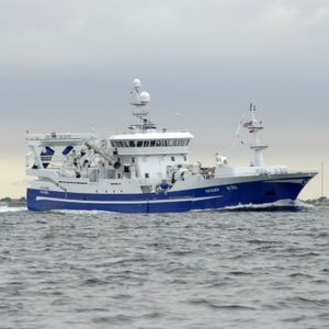 Berufsschiff für Fischerei / Trawler 1