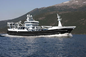 Berufsschiff für Fischerei / Trawler 1