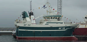 Berufsschiff für Fischerei / Trawler 1