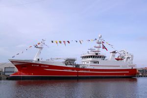 Berufsschiff für Fischerei / Trawler 1