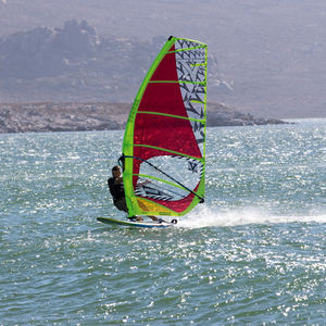 Windsurf-Segel / Freerace 1
