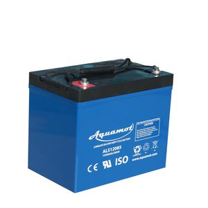 Deep-Cycle-Batterie / 12 V