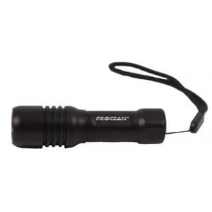 LED-Tauchlampe 1
