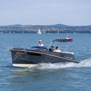 Innenborder-Konsolenboot 1