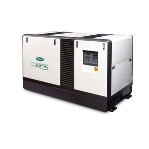 Diesel-Stromaggregat 1