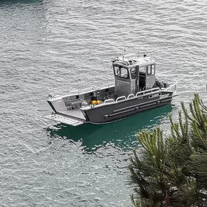 Landungsboot-Berufsschiff 1