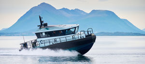 Arbeitsboot Berufsschiff