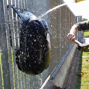 Rucksack für Wassersport / wasserdicht