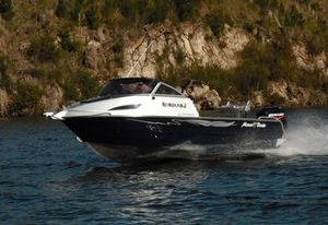 Außenborder-Daycruiser 1