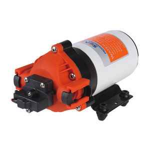 Pumpe für Boot 1