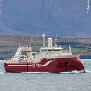 Trawler-Fischereischiff 1