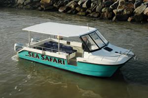 Ausflugsboot Berufsschiff