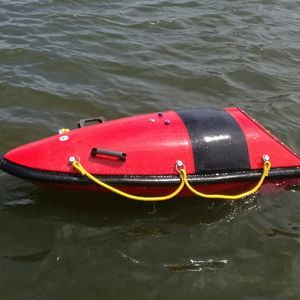 motorisierter Rettungsbrett