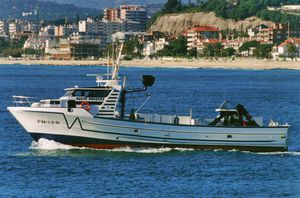 Berufsboot für Fischerei