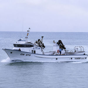 Berufsschiff für Fischerei / Thunfischfänger 1
