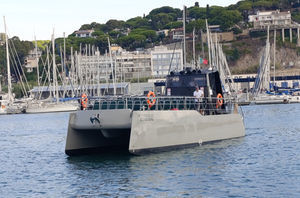 Passagierboot Berufsschiff
