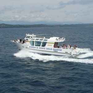 Ausflugsboot Berufsboot / Innenborder / Diesel