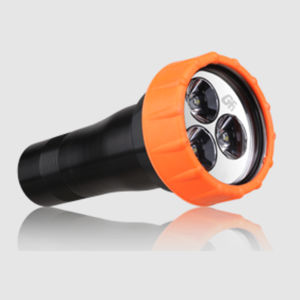 Tauchlampe