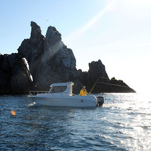 Cabin-Cruiser / Außenbord / mit Ruderhaus / für Angelsport / max. 8 Personen