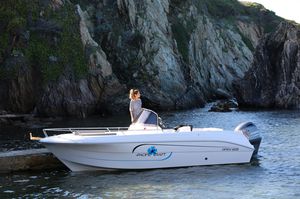 Außenbord-Konsolenboot / Mittelkonsole / Open / max. 7 Personen