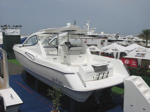 Express Cruiser / Innenborder