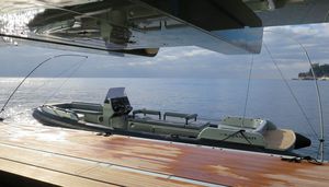 Anlegepeitsche für Boote