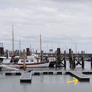 Schwimmkörper für Steg