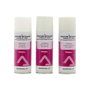 Aerosol-Farbe