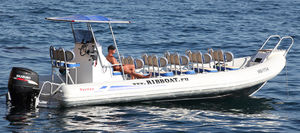 Außenbord-Schlauchboot / zweimotorig / RIB / Mittelkonsole