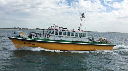 Crewboot-Berufsschiff - ZEEZWALUW - SIMA SHIPSALES BV - Lotsenboot / Innenborder