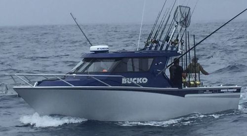 Berufsschiff / Berufsschiff für Fischerei - 870  - White Pointer Boats Ltd - Innenborder