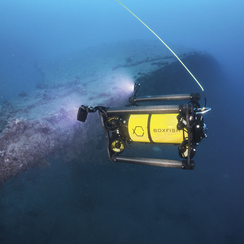 Unterwasser-ROV / für Arbeitseinsätze - Boxfish Research