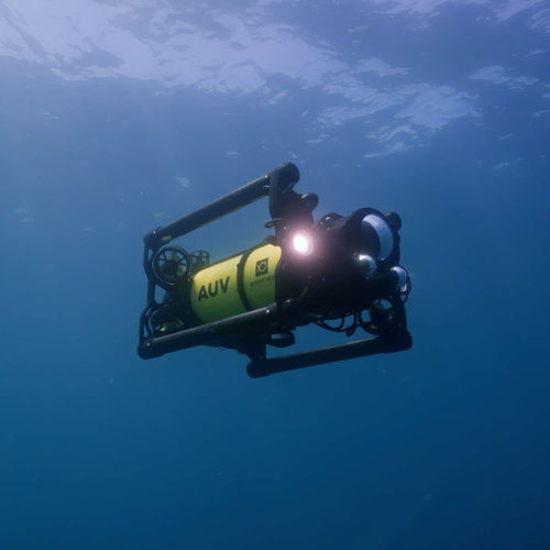 ROV zur Beobachtung - Boxfish  - Boxfish Research