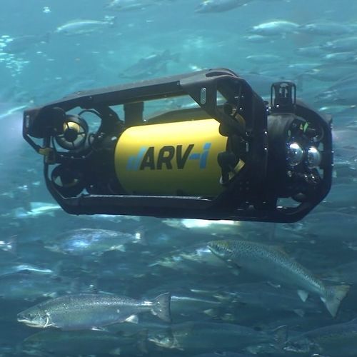 ROV zur Beobachtung - ARV-i - Boxfish Research