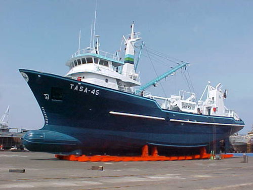 Trawler-Spezialschiff - B/P ALESSANDRO - Astillero SIMA PERU - Küste