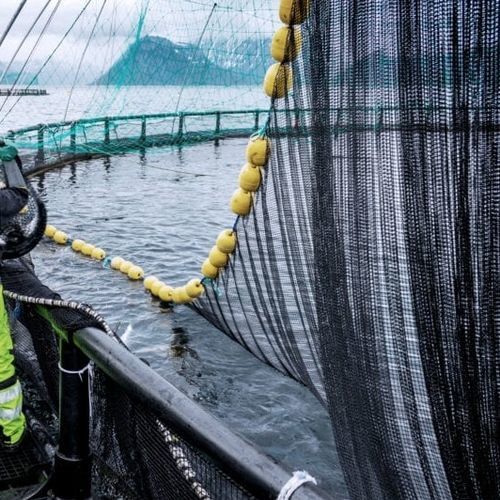 Netz für Aquakultur - Vónin - Für Fischkäfig