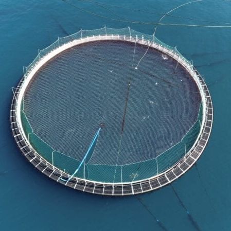 Automatisches Ankersystem - Vónin