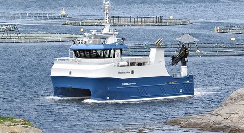 Boot für Aquakulturen Berufsschiff - NabCat 1499/1200 MD - Moen Marin AS - Katamaran / Innenborder
