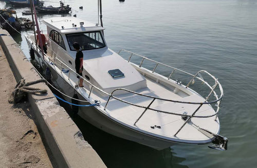 Express-Cruiser / Außenborder - PRO 46 - PANGA FERRET - zweimotorig / Hardtop / Sportfischer