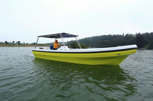 Passagierboot Berufsschiff - PANGA FERRET - Taucherbasisboot / Berufsschiff für Fischerei / Außenborder
